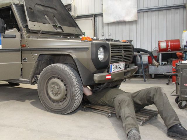 Bildgröße auf die Monitorauflösung (640x480 px) optimiert