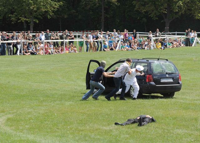 Bildgröße auf die Monitorauflösung (640x480 px) optimiert