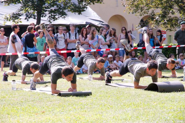 Bildgröße auf die Monitorauflösung (640x480 px) optimiert