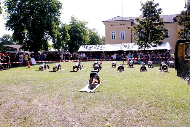 Bildgröße auf die Monitorauflösung (640x480 px) optimiert