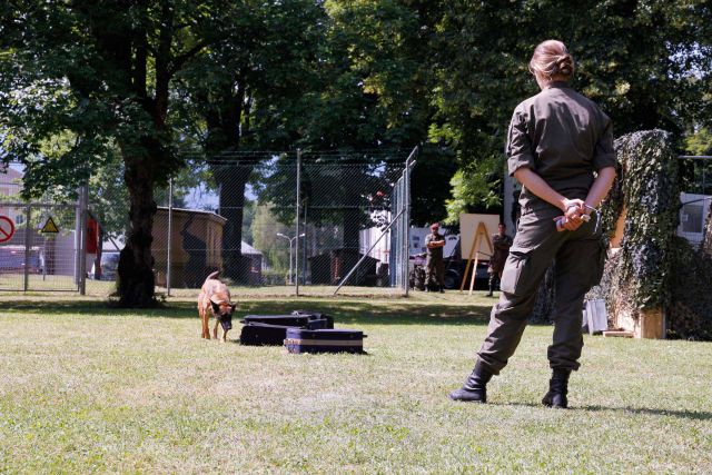 Bildgröße auf die Monitorauflösung (640x480 px) optimiert