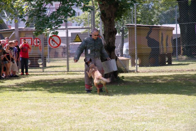 Bildgr&ouml;&szlig;e auf die Monitoraufl&ouml;sung (640x480 px) optimiert