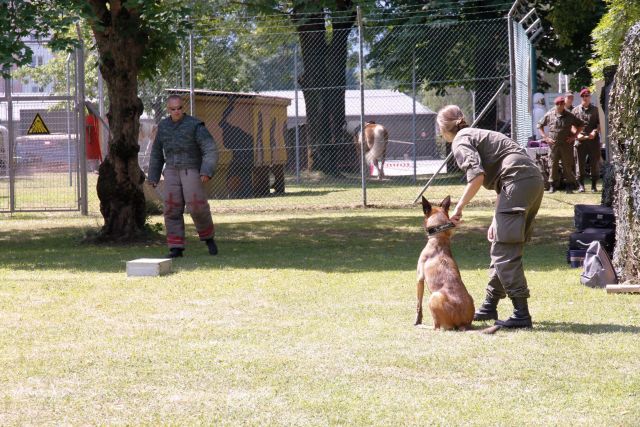 Bildgr&ouml;&szlig;e auf die Monitoraufl&ouml;sung (640x480 px) optimiert