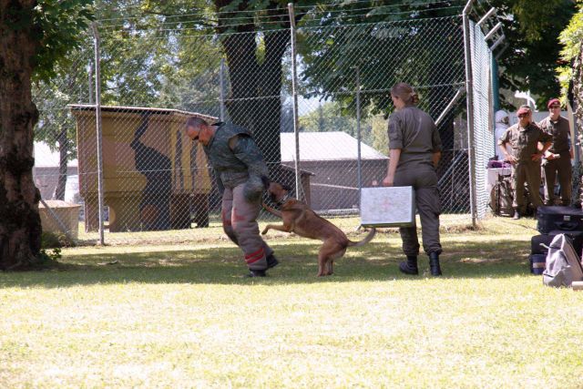 Bildgr&ouml;&szlig;e auf die Monitoraufl&ouml;sung (640x480 px) optimiert