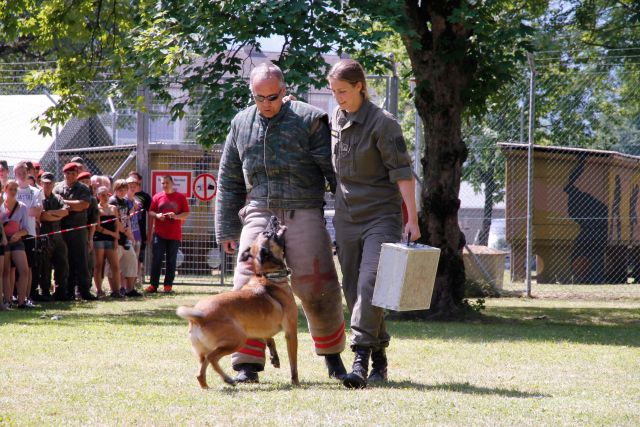 Bildgröße auf die Monitorauflösung (640x480 px) optimiert