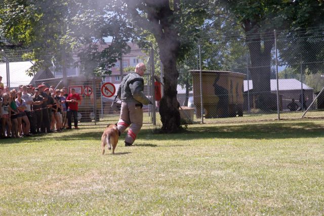 Bildgröße auf die Monitorauflösung (640x480 px) optimiert