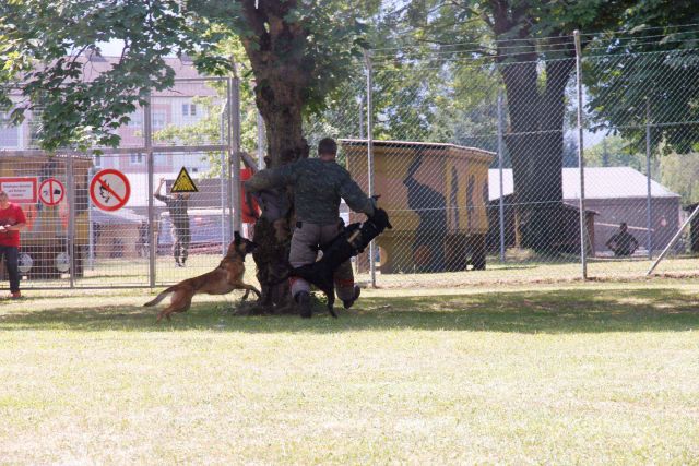 Bildgröße auf die Monitorauflösung (640x480 px) optimiert