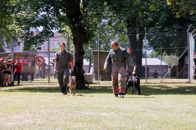 Bildgr&ouml;&szlig;e auf die Monitoraufl&ouml;sung (640x480 px) optimiert