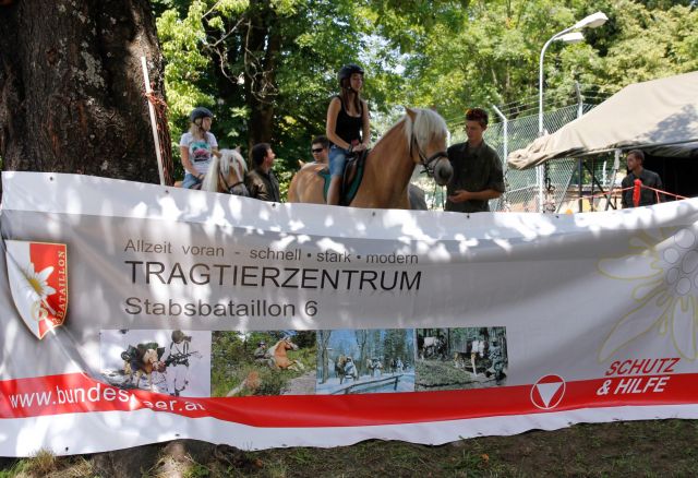 Bildgröße auf die Monitorauflösung (640x480 px) optimiert