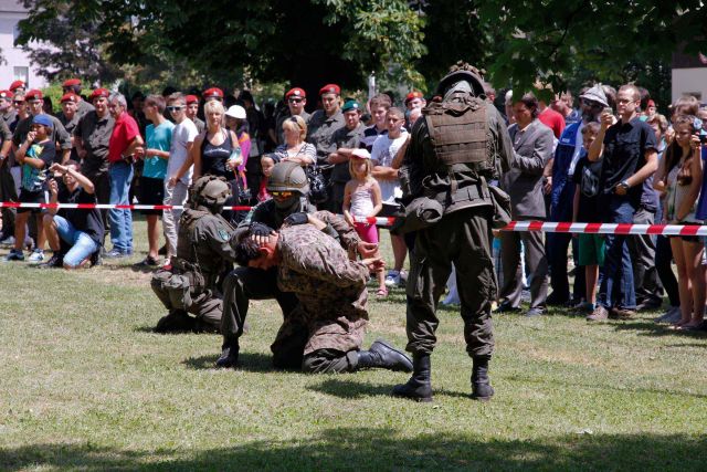 Bildgr&ouml;&szlig;e auf die Monitoraufl&ouml;sung (640x480 px) optimiert