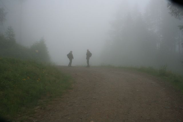 Bildgröße auf die Monitorauflösung (640x480 px) optimiert