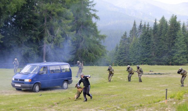 Bildgr&ouml;&szlig;e auf die Monitoraufl&ouml;sung (640x480 px) optimiert