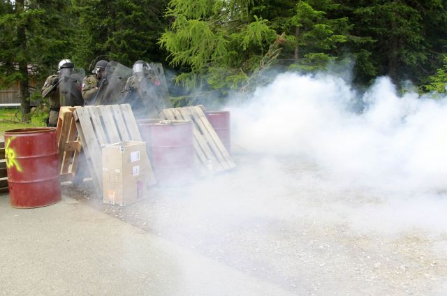 Bildgr&ouml;&szlig;e auf die Monitoraufl&ouml;sung (640x480 px) optimiert