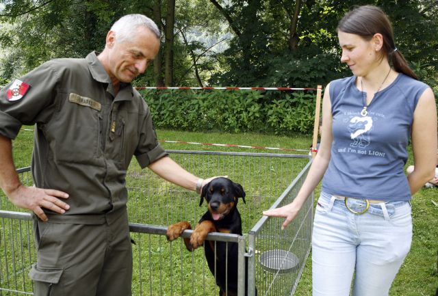 Bildgröße auf die Monitorauflösung (640x480 px) optimiert