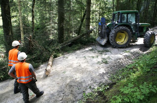 Bildgr&ouml;&szlig;e auf die Monitoraufl&ouml;sung (640x480 px) optimiert