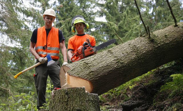 Bildgr&ouml;&szlig;e auf die Monitoraufl&ouml;sung (640x480 px) optimiert