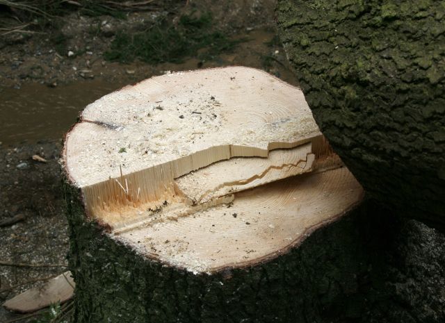 Bildgr&ouml;&szlig;e auf die Monitoraufl&ouml;sung (640x480 px) optimiert