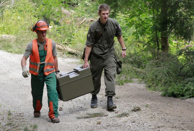 Bildgr&ouml;&szlig;e auf die Monitoraufl&ouml;sung (640x480 px) optimiert