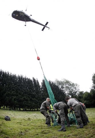 Bildgr&ouml;&szlig;e auf die Monitoraufl&ouml;sung (640x480 px) optimiert