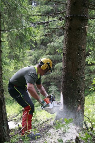 Bildgröße auf die Monitorauflösung (640x480 px) optimiert