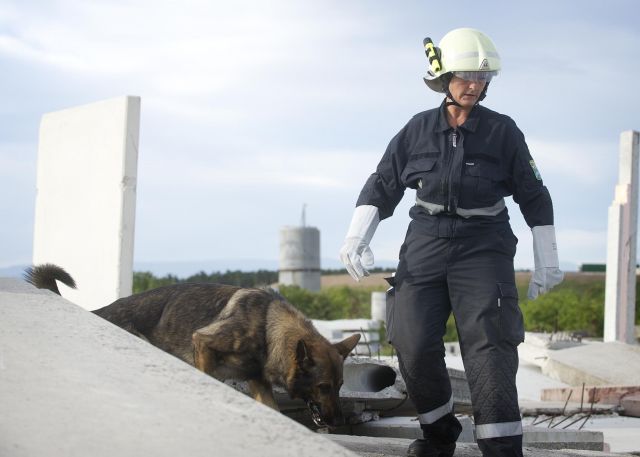 Bildgr&ouml;&szlig;e auf die Monitoraufl&ouml;sung (640x480 px) optimiert