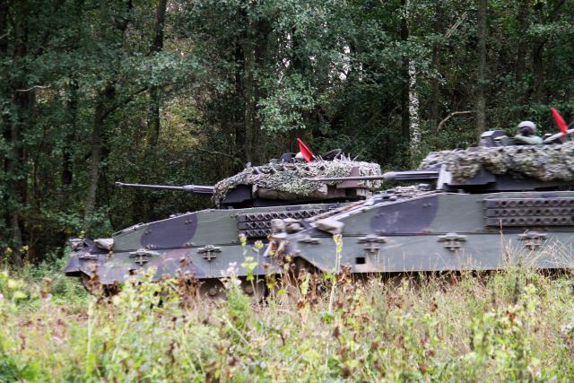 Bildgröße auf die Monitorauflösung (640x480 px) optimiert