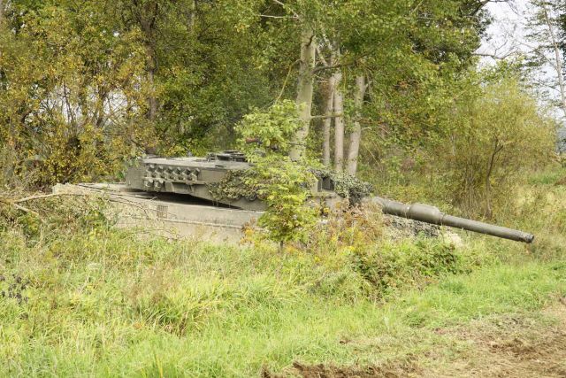 Bildgr&ouml;&szlig;e auf die Monitoraufl&ouml;sung (640x480 px) optimiert