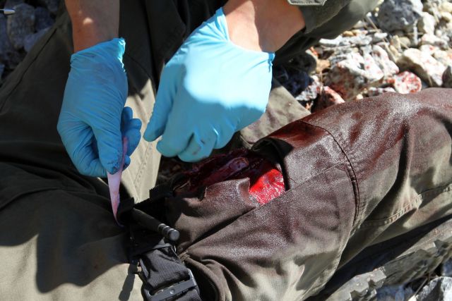 Bildgr&ouml;&szlig;e auf die Monitoraufl&ouml;sung (640x480 px) optimiert