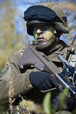 Bildgröße auf die Monitorauflösung (640x480 px) optimiert