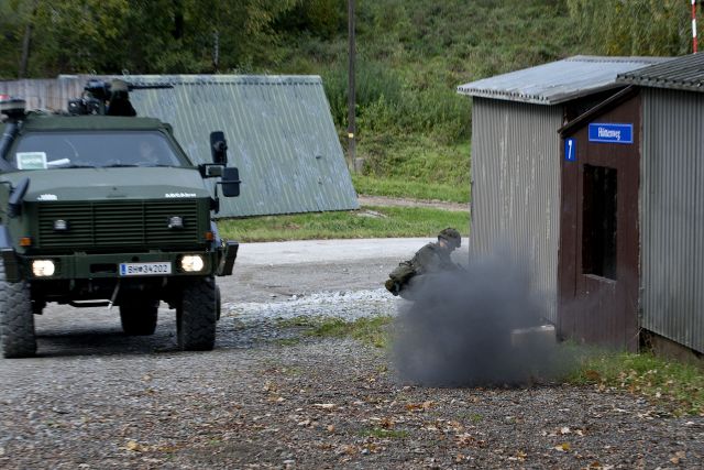 Bildgröße auf die Monitorauflösung (640x480 px) optimiert