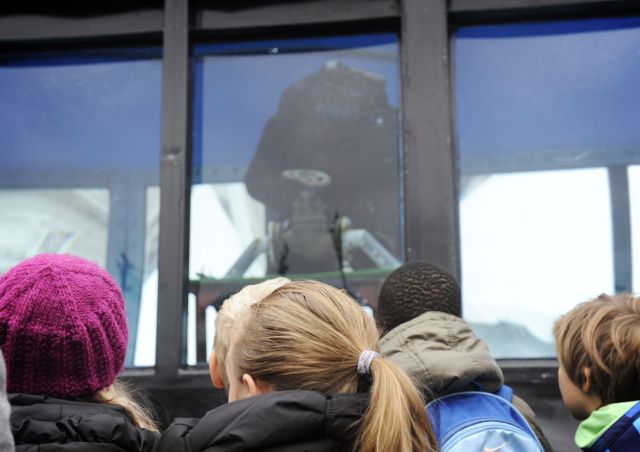 Bildgröße auf die Monitorauflösung (640x480 px) optimiert