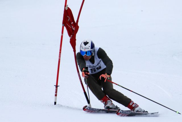 Bildgröße auf die Monitorauflösung (640x480 px) optimiert