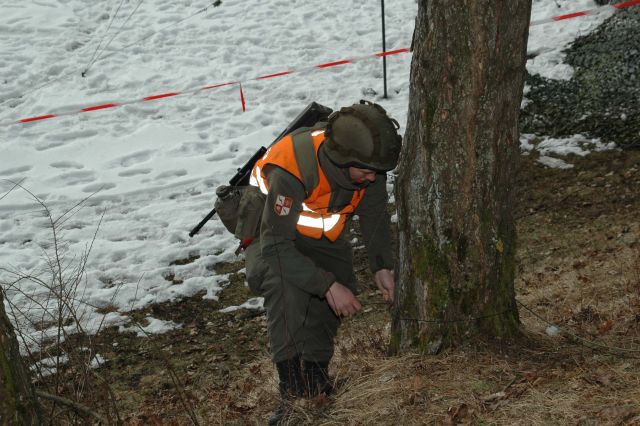 Bildgr&ouml;&szlig;e auf die Monitoraufl&ouml;sung (640x480 px) optimiert