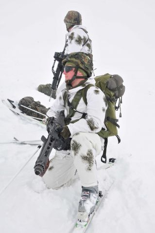 Bildgröße auf die Monitorauflösung (640x480 px) optimiert