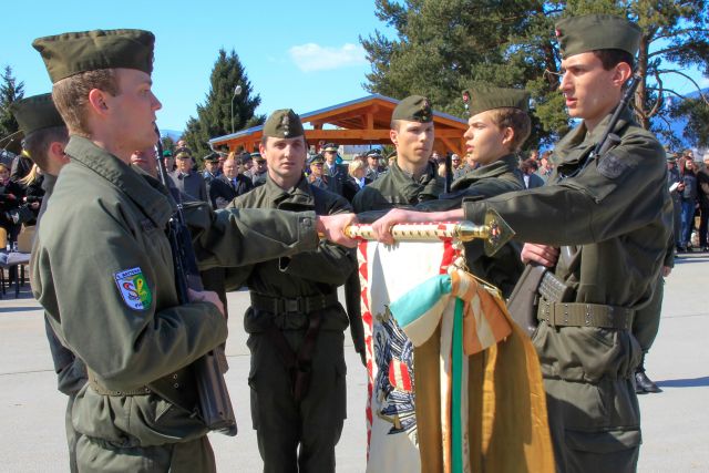 Bildgröße auf die Monitorauflösung (640x480 px) optimiert