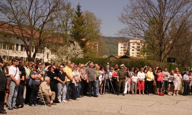 Bildgröße auf die Monitorauflösung (640x480 px) optimiert