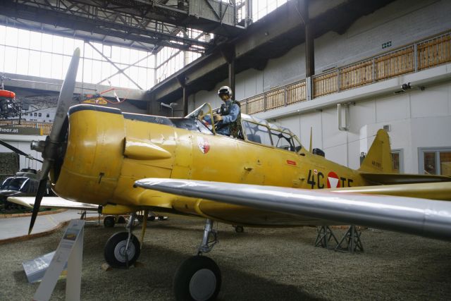 Bildgröße auf die Monitorauflösung (640x480 px) optimiert