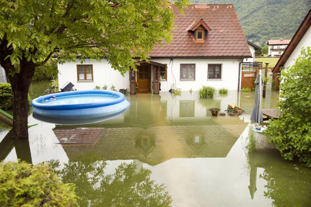 Bildgröße auf die Monitorauflösung (640x480 px) optimiert