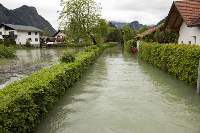 Bildgröße auf die Monitorauflösung (640x480 px) optimiert