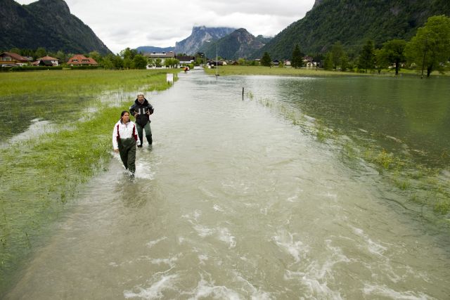 Bildgröße auf die Monitorauflösung (640x480 px) optimiert