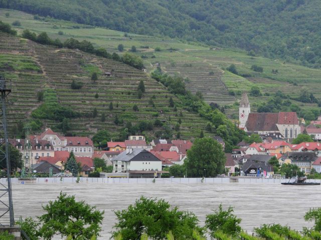 Bildgröße auf die Monitorauflösung (640x480 px) optimiert