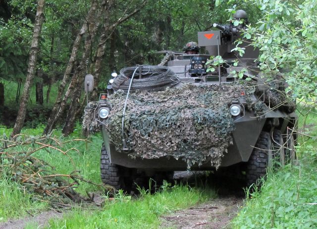 Bildgr&ouml;&szlig;e auf die Monitoraufl&ouml;sung (640x480 px) optimiert