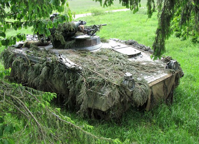 Bildgr&ouml;&szlig;e auf die Monitoraufl&ouml;sung (640x480 px) optimiert