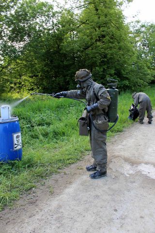 Bildgr&ouml;&szlig;e auf die Monitoraufl&ouml;sung (640x480 px) optimiert