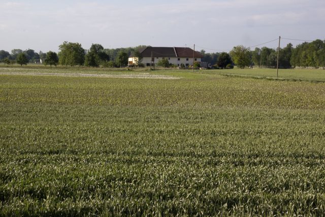 Bildgr&ouml;&szlig;e auf die Monitoraufl&ouml;sung (640x480 px) optimiert