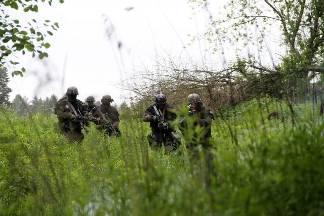 Bildgr&ouml;&szlig;e auf die Monitoraufl&ouml;sung (640x480 px) optimiert