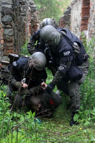 Bildgr&ouml;&szlig;e auf die Monitoraufl&ouml;sung (640x480 px) optimiert