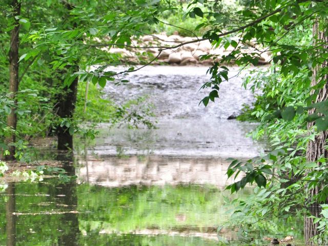 Bildgröße auf die Monitorauflösung (640x480 px) optimiert