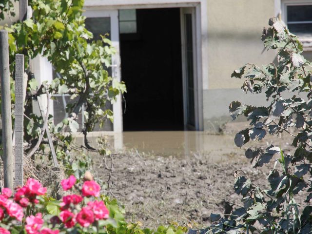 Bildgröße auf die Monitorauflösung (640x480 px) optimiert