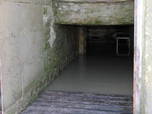 Bildgröße auf die Monitorauflösung (640x480 px) optimiert